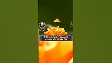 تلاوة مؤثرة تبكي الحجر   ياسر القرشي