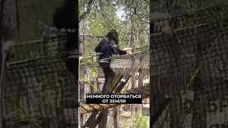 📍К юбилеям городов на Ямале разработали новые туристические маршруты