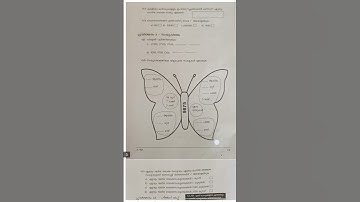 class 4 maths malayalam medium first term onam exam question paper  2025-26 #class4
