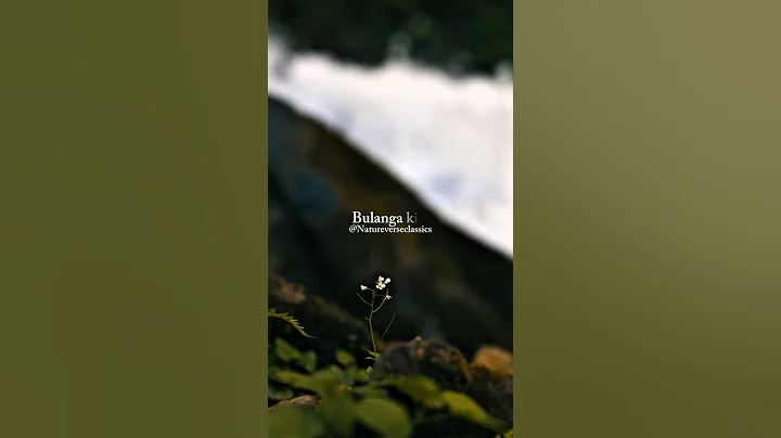 💔 Sochu Ke Milni Te Bolanga Ki | Paresh Pahuja Sad Love Status ❤️ Trending 2025 #ytshorts  #viral