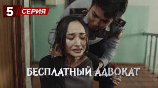 «Бесплатный Адвокат» 5 серия