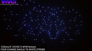 125mm/5 (VIV5S-T) COLOUR CHANGE DHALIA TO WHITE STROBE #F4Premium