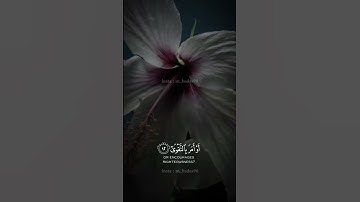 #قران_كريم #تلاوة_خاشعة #تلاوة_هادئة #القارئ_ادريس_ابكر