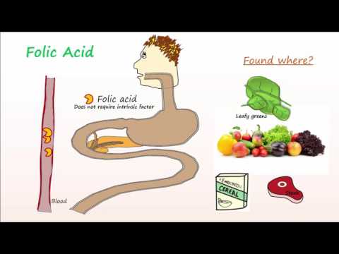 Megaloblastic Anemia Part 2- Folic Acid Deficiency Anemia