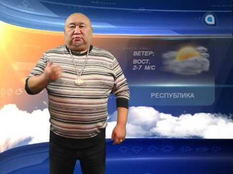 Прогноз на 10.02.2017
