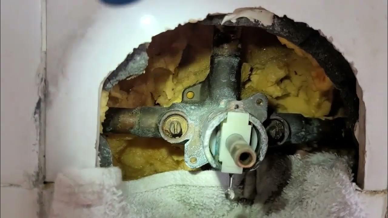 Replacing an old single handle shower trim. Moen Positemp, leaking with