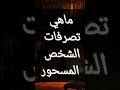 ماهي تصرفات الشخص المسحور تصرفات تصرفات تفعلها القطط المسحور 
