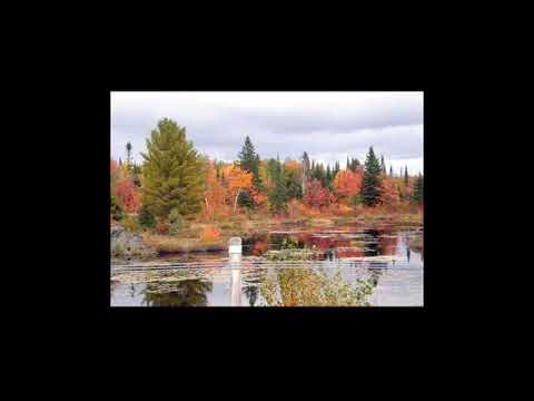 Kolpona By Khalid