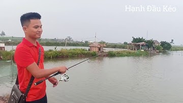 Câu Cá,Vược(Chẽm) nhiều cá quá ...Giật mỏi tay.(sea ​​bass lure fishing, jerky hand)!