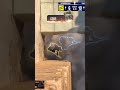 pro players are having fun #cs2 #gaming #funny #hotpizzagg #jdlfa