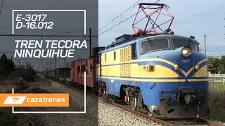 LOCOMOTORAS E-3017 Y D-16.012 / TREN TECDRA / NINQUIHUE