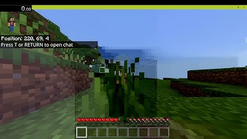 enter nether random seed 13 seconds