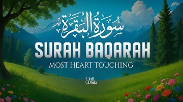 Surah Al Baqarah سورة البقره Full | Divine Voice that will Touch your Heart | Lofi Dhikr