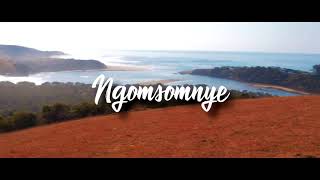 Sinovuyo Dimanda _Ngomsomnye  ( music video)