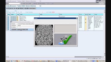 2014 Detailed Demo - SAP Fraud Prevention with bioLock