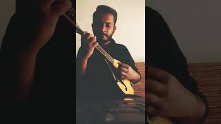 Janam janam (Melody)- Mandolin cover.❤  #reels #mandolin #cover #music #sharukhkhan #love #romantic