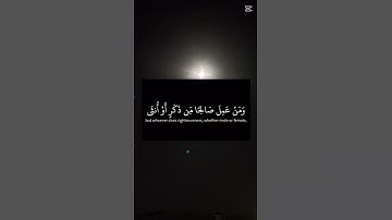 اكتب شيء تؤجر عليه -سورة غافر