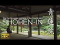 [4K] 青蓮院 京都の庭園　SHOREN-IN [4K] The Garden of Kyoto