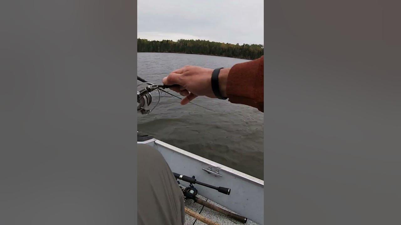 The BOOGIE SHAD WalleyeNationCreations Crankbait Catches Walleye!! 