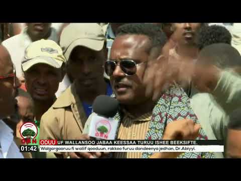 Hiriira Balaaleeffannaa ABO Shanee