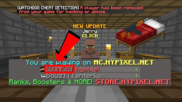 HYPIXEL GETS HACKED (FEAT. WATCHDOG)