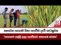කහවෙන|sin