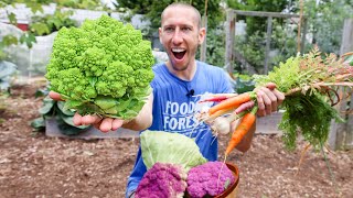 Permaculture Garden Harvest | Organic BACKYARD Gardening at it&#39;s Best