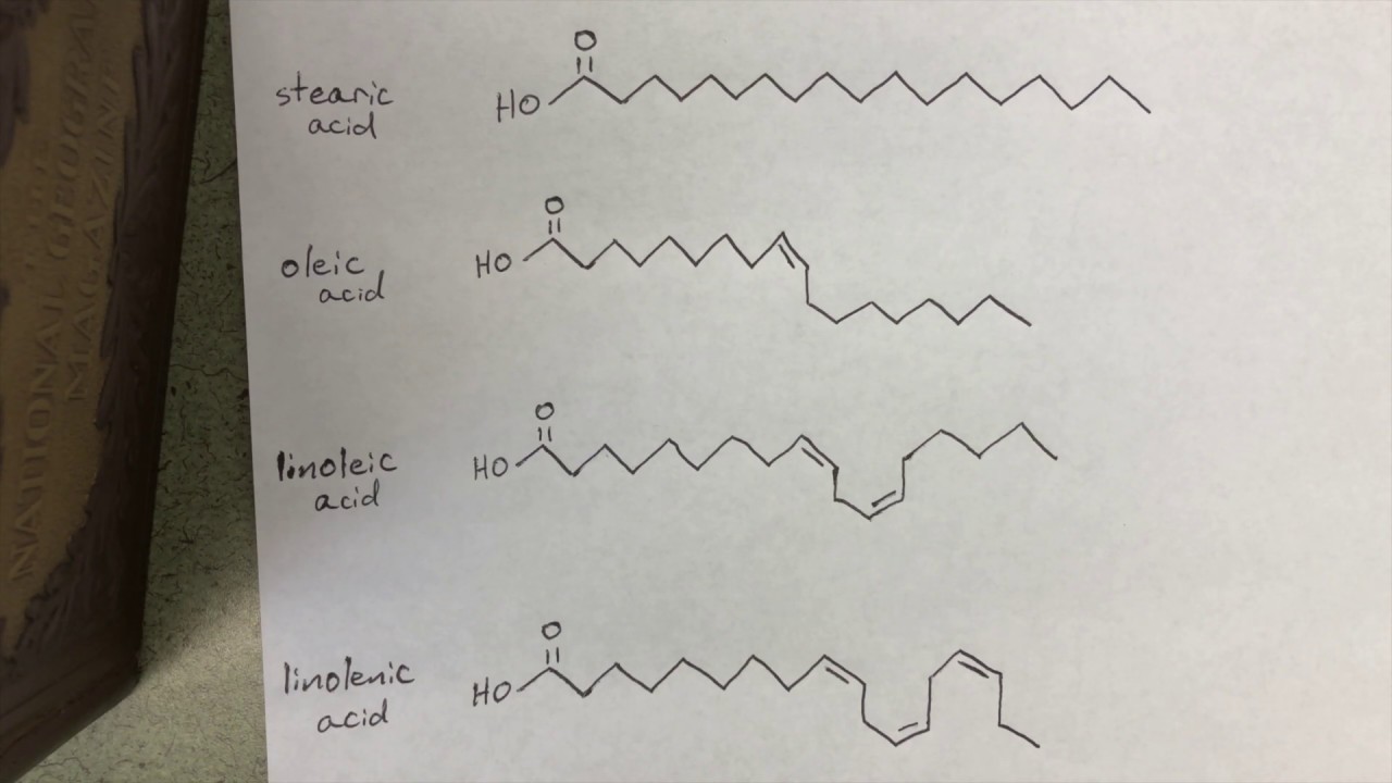 Melting Points of Fatty Acids YouTube