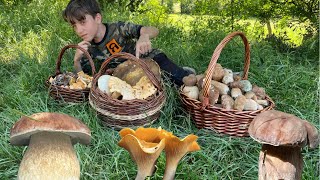 картинка: ОТНОВО в гората за #ГЪБИ С @YanatarkoTeam