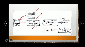 vulva formation in C elegans (part 2)