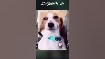 3K on Nuke MP9! 🤯| MATCHMAKING #cs2 #csgo  #cs2clips  #fps  #aim #counterstrike  #shorts