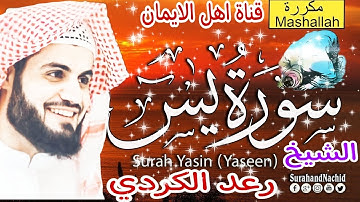 سورة يس كاملة مكررة بصوت اكثر من رائع الشيخ رعد الكرديsurat yasin mukarar bisawt alshayk red alkurdi