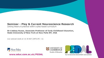 PEDaL Seminar | Play & Current Neuroscience Research | Dr Lindsey Russo
