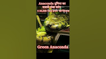 Green Anaconda - दुनिया का सबसे लंबा सांप |