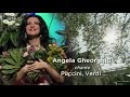 Angela gheorghiu sings puccini verdi  new years eve 2014