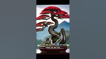 5 loại cây nên trồng ở nhà để thu hút tài lộc #phongthuy  #shorts  #thuhuttailoc