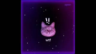 Missing Kitty Cure Cosmo Edit