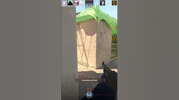 I just wanted to inspect his awp :(  #cs2