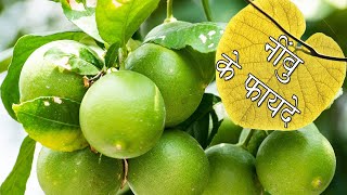 नींबू के फायदे | Health Benefits of Lemon | Home remedies stretch marks | Home remedy hair growth