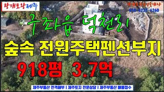 498. [제주도토지] 가격 저렴한 숲속의 전원주택 펜션부지. 30미터 정도의 비포장구간 포장 필요