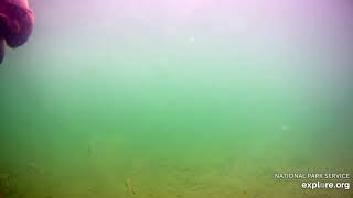 15 Sep 2018: 901 Dives
