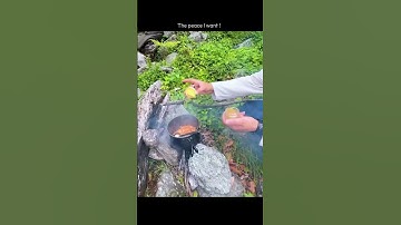 🌱 🗻🌟nature #instagram #motivation #nature #youtubeshorts #shorts #shortvideo #short #ytshorts