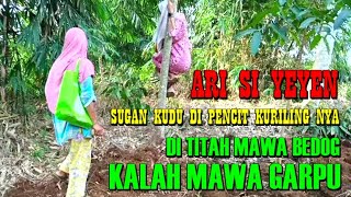 ARI SIA KUNAON TEU CAGER CAGER || DADANG PX