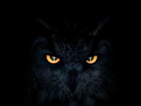 ბუ - აბრაკა დაბრა bu - abraka dabra