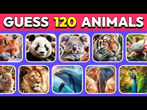 Guess 120 Animals