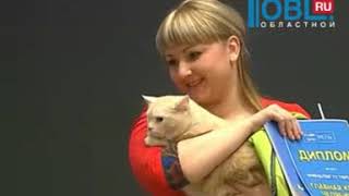 "Радио Дача" провело конкурс, в котором выбрали главную кошку Челябинска "Радио Дача" провело конкурс, в котором выбрали главную кошку Челябинска
