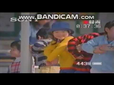 ソニー スタミナハンディカム DCR TRV9 CCD TRV95K DCR TRV9 CM 1998年