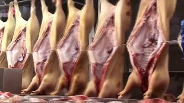 Modern Pig Farming Technology   Automatic Pork Cutting Line Machine   Pork Production Process