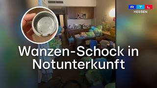 Bettwanzen im Wohnheim: Alleinerziehende Mutter schlägt Alarm
