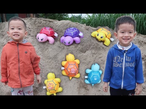 Trò Chơi Chăm Sóc Rùa Đẻ Trứng| Gia Đình Baby Shark